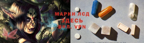 дживик Богородицк
