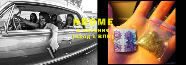 стафф Богданович