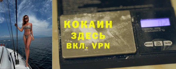 дживик Богородицк