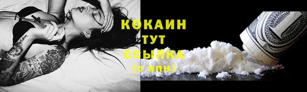 стафф Богданович