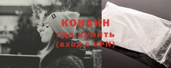 стафф Богданович