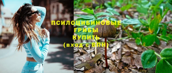 стафф Богданович