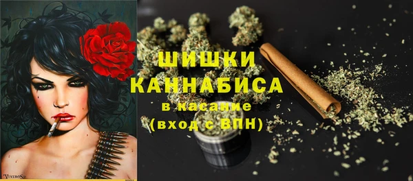 стафф Богданович