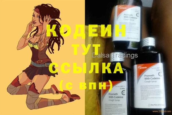 стафф Богданович