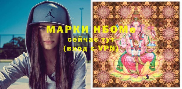 дживик Богородицк