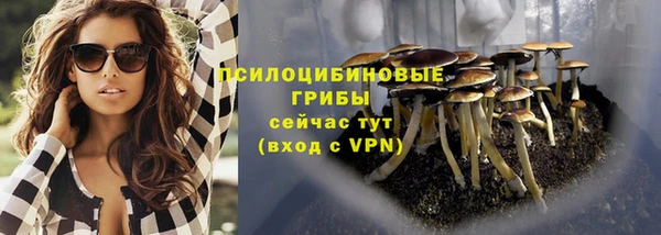 дживик Богородицк