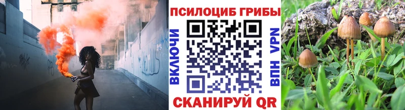Псилоцибиновые грибы ЛСД  купить наркоту  kraken как войти  Дмитров 
